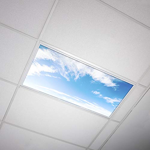 OCTO LIGHTS Fluorescent Light Covers Cloud Sky Panel for Ceiling Lights, Light Covers for Ceiling Lights Classroom 2x4 (22.38"x46.5") Backlit Film Insert for Fluorescent Light Fixtures (Pack of 1) - color: Cirrus Skyscape, size: 1pk