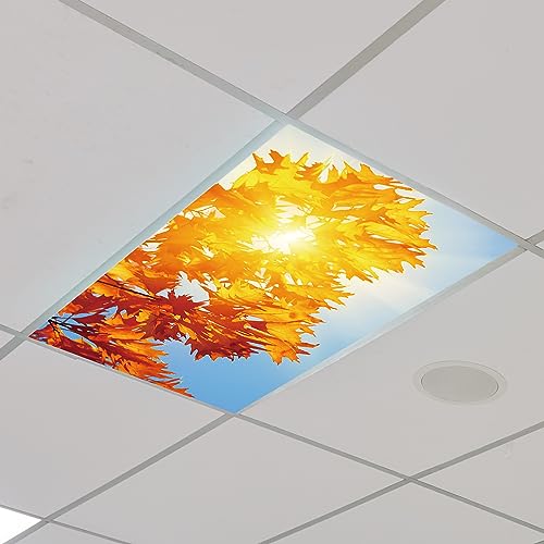 Outus Fluorescent Light Cover Classroom Lighting Cover with 10 Magnets Light Filter Magnetic Ceiling Panel Decoration 2 x 4 ft (23.62 x 47.24 In) Reduce Glare for Office School(4,Maple Leaf) - style: Maple Leaf