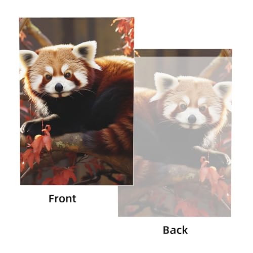 Red Panda Backdrop Background for Photography 5x7ft Photobooth Professional Photo Backdrop Curtains Video Photography Studio Photo Backgrounds Banner Booth Background Screen Parties - color: Red Panda