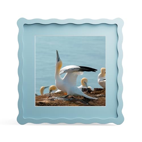 10x10 Picture Frame with Mat for 8x8, Wavy Edge Wooden Real Glass Photo Frame for Tabletop and Wall Hanging, Blue, 1 Pack - color: Blue, size: 10x10 in