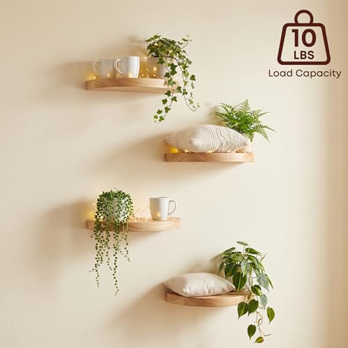 Small Wood Floating Shelves (4-Pack, 6-inch Diameter) - Round Sturdy Invisible Wall Mount Display for Small Plants,Toys,Bathroom,Living Room Storage & Modern Rustic Décor (Carbonized Brown) - color: Carbonized Brown, size: 6 Inch-4 Pcs