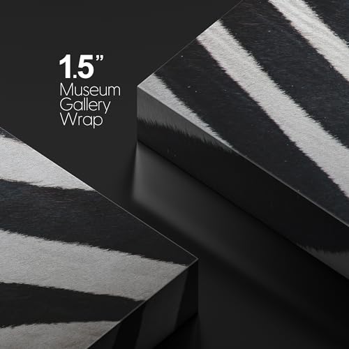 wall26 - Canvas Prints Wall Art - Canvas Prints Wall Art - Zebra Fur/Skin Texture - 12"x12" - color: 04. Zebra Pattern, size: 12"L x 12"W