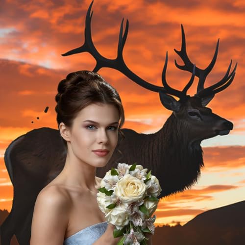 Red Deer Bull Elk Sunset Backdrop Background for Photography 5x7ft Photobooth Professional Photo Backdrop Curtains Video Photography Studio Photo Backgrounds Banner Booth Background Screen Parties - color: Red Deer Bull Elk Sunset