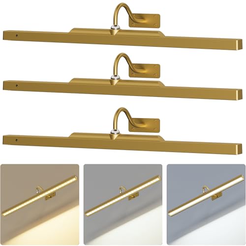 3 Pack Picture Lights Battery Operated 6000mAh - 24Inch Wireless for Gallery, Museum, Mirror, Picture Frames & Office Décor (Antque Gold) - color: Antique Gold, size: 24IN-3pack