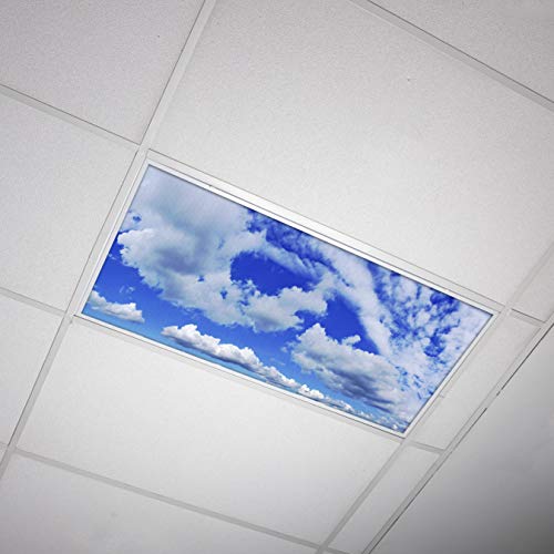 OCTO LIGHTS Fluorescent Light Covers Cloud Sky Panel for Ceiling Lights, Light Covers for Ceiling Lights Classroom 2x4 (22.38"x46.5") Backlit Film Insert for Fluorescent Light Fixtures (Pack of 1) - color: Altocumulus Sunscape, size: 1pk