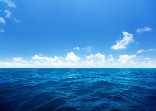 Ocean Backdrop 8x6ft Sea Blue Water Natural Scenery Photography Background Baby Shower Wedding Birthday Party Decor Kids Girl Boy Photoshoot Props - size: 8X6FT
