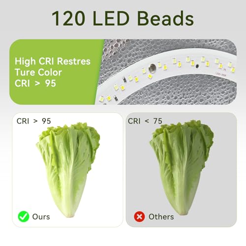 Photo Light Box Photography - 16"x16" Photo Studio Lightbox with 120 LED Lights & 6 Backdrops for Jewelry and Small Items Product Photography - size: 16"x16"