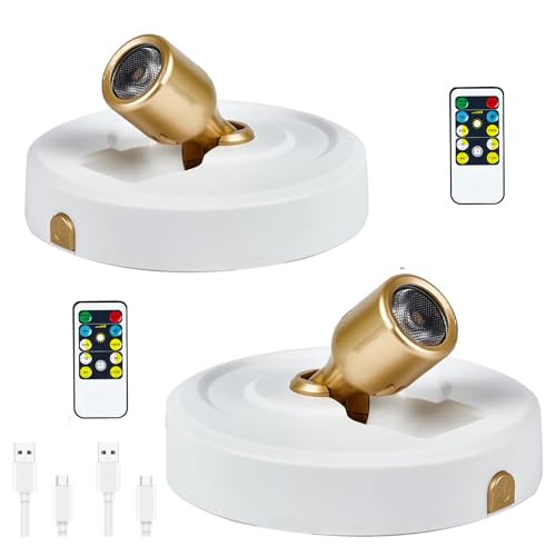 Wireless LED Spot lights Indoor with Rechargeable Battery Operated, Spotlights Indoor with Remote, Picture Lights for Wall with Timer And Dimmable, SpotLights Accent Uplighting for Plant, Artwork - color: Rechargeable White-G, size: 2 Pack