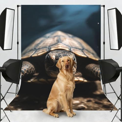Animal Tortoise Backdrop Background for Photography 5x7ft Photobooth Professional Photo Backdrop Curtains Video Photography Studio Photo Backgrounds Banner Booth Background Screen Parties - color: Animal Tortoise
