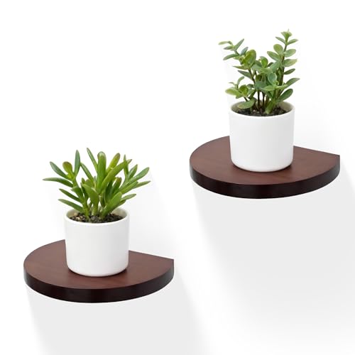Small Wood Floating Shelves (2-Pack, 6-inch Diameter) - Round Sturdy Invisible Wall Mount Display for Small Plants,Toys,Bathroom,Living Room Storage & Modern Rustic Décor (Dark Walnut) - color: Dark Walnut, size: 6 Inch-2 Pcs