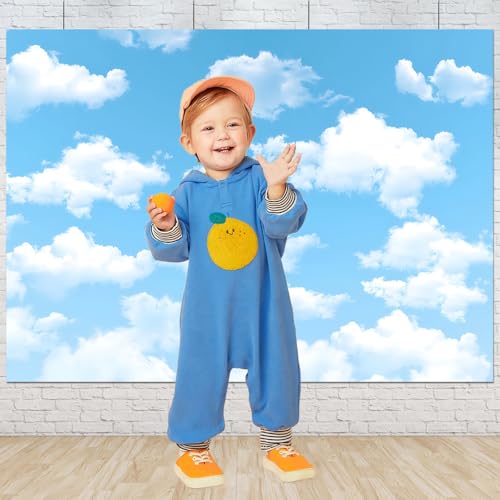 Qian 7x5ft Blue Sky White Clouds Backdrop Natural Scenery Sunshine Sky Clouds Photography Backdrop Wedding Birthday Party Decoration Newborn Baby Shower Backdrop