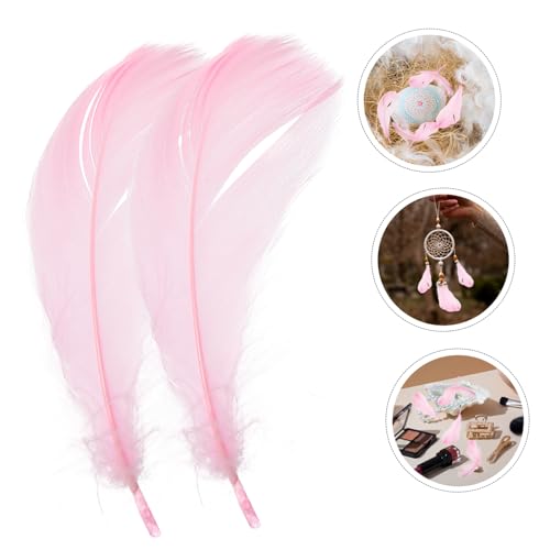 LALAFINA 15pcs Unique Plume Decorations Decorative Plume Props for Vanity Table Photo Displays for Home Decor Cosmetics Showcases