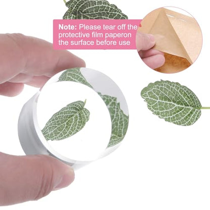 uxcell Acrylic Cylinder Display Blocks, 50 x 50 mm/2" x 2" Clear Jewelry Display Base Polished Cube Riser Stand Display Holder Base for Ring Bracelet Cosmetics Crafts - size: 50 x 50mm
