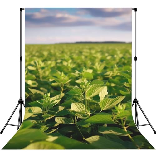 Soybean Field Backdrop Background for Photography 5x7ft Photobooth Professional Photo Backdrop Curtains Video Photography Studio Photo Backgrounds Banner Booth Background Screen Parties - color: Soybean Field