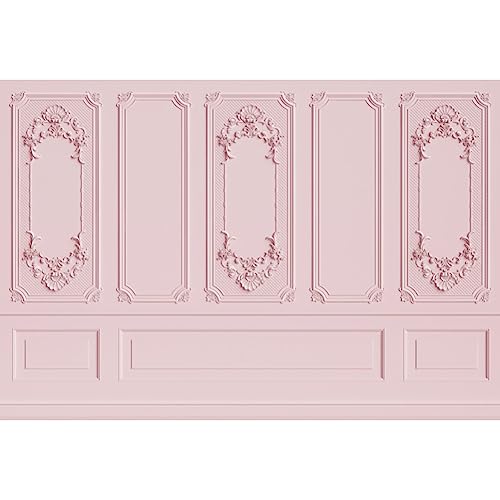 Leyiyi 5x3ft Light Pink Vintage Room Inside Backdrop European Frame Modern House French Castle Cementery Wall Retro Style Photo Background Cowboy Kids Birthday Vinyl Portrait Photo Studio Props - color: Pink, size: 5x3ft
