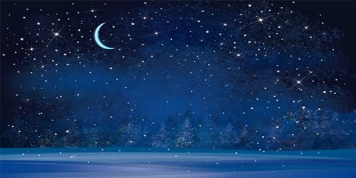BELECO 20x10ft Fabric Winter Wonderland Night Snowfall Backdrop Blue Starry Sky Moon Stars Snowflakes Fir Trees Pine Forest Snow Scene Background Christmas New Year Party Decoration Photo Studio Props - size: 20x10FT