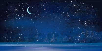 BELECO 20x10ft Fabric Winter Wonderland Night Snowfall Backdrop Blue Starry Sky Moon Stars Snowflakes Fir Trees Pine Forest Snow Scene Background Christmas New Year Party Decoration Photo Studio Props - size: 20x10FT