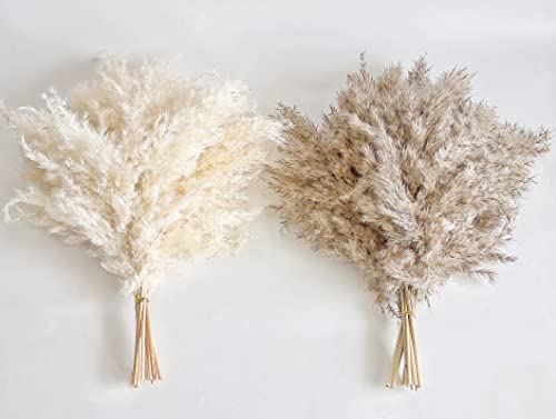 30 PCS Boho Decor, Fluffy Pompas Grass, Natural Dry Pampas Grass Small, Short Pampass Bulk for Boho Room, Coffee Table Decor (17 inch ) - size: 30PCS-Natural