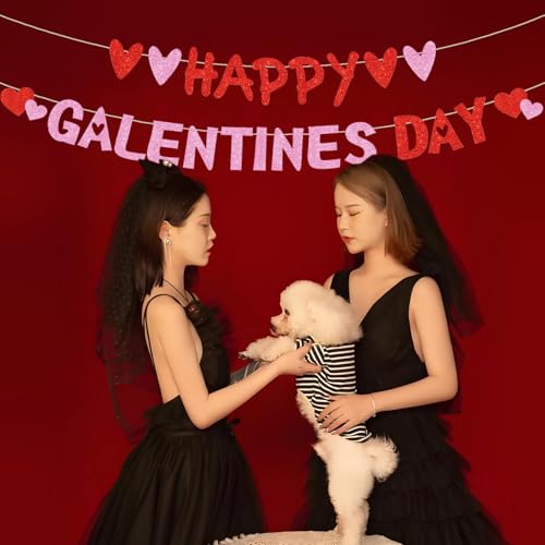 Happy Galentine’s Day Decorations Pre-Assembled Red Glittery Heart Banner Valentines Day Sign Ladies Girls Birthday Party Photo Prop Supplies