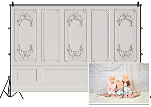 Leyiyi 5x3ft Vintage Room Inside Backdrop European Frame Modern House French Castle Cementery Wall Retro Style Photo Background Cowboy Kids Birthday Portrait Studio Prop Vinyl Wallpaper - color: White, size: 5x3ft