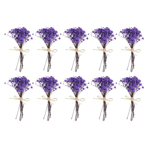 PATIKIL Mini Dried Flower Bouquet, 10 Pcs Baby's Breath Natural Wildflower with Stem Decor Boho Floral Plant Flower for Crafts DIY Photo Props Gift Wedding Decor, Blue Purple - color: Blue Purple