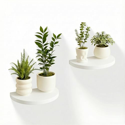 Small Wood Floating Shelves (2-Pack, 8-inch Diameter) - Round Sturdy Invisible Wall Mount Display for Small Plants,Toys,Bathroom,Living Room Storage & Modern Rustic Décor (White) - color: White, size: 8 Inch-2 Pcs