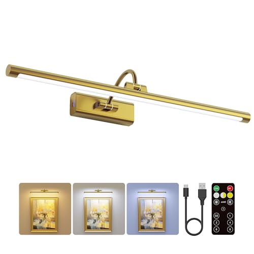 24" Picture Lights for Wall with 8000mAh Battery - Brass Operated Wireless Wall Art Light with Remote Control for Large Portrait & Paintings Art - color: Brass, size: 24 Inch