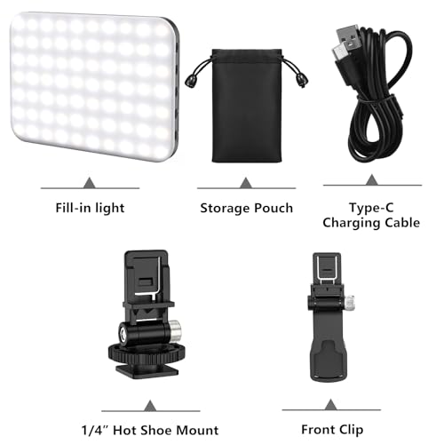 Hagibis RGB Video Light, 360° Full Color Selfie Light LED Camera Light with 3 Cold Shoe Mounts/CRI 97+/20 Scene Modes/2200mAh Rechargeable Portable Phone Light Photography Selfie Lighting - color: RGB