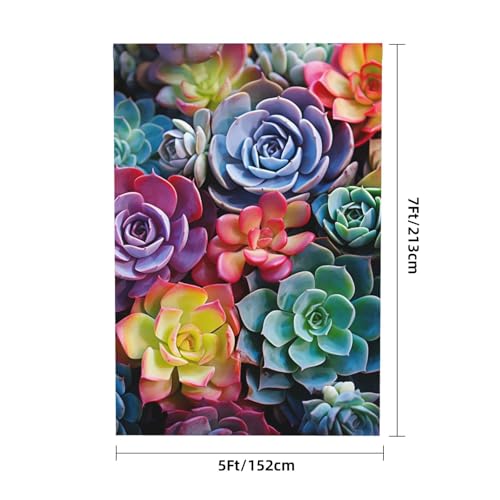 Colorful Succulent Backdrop Background for Photography 5x7ft Photobooth Professional Photo Backdrop Curtains Video Photography Studio Photo Backgrounds Banner Booth Background Screen Parties - color: Colorful Succulent