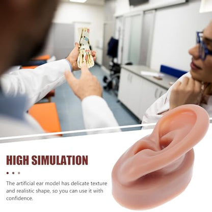 Balacoo Soft Silicone Artificial Ear Model Pair for Piercing Practice and Medical Teaching, Realistic Flexible Left Right Ear Props for Auricular Therapy and Anatomy Display