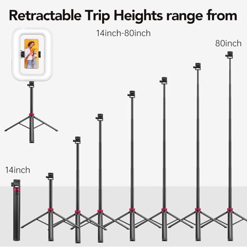 Phone Ring Light with 80" Tall Tripod Stand Built-in 8000mAh Battery Handheld Smartphone Photo Selfie Video Rig Lights 2700K-6500K for Tiktok, YouTube, Video Recording, Filmmaking, Vloging