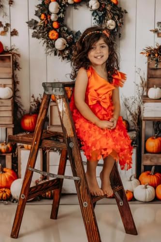 Kate Fall Pumpkins Wreath White Wood Box Backdrop Photo Background Studio Props,7x5ft