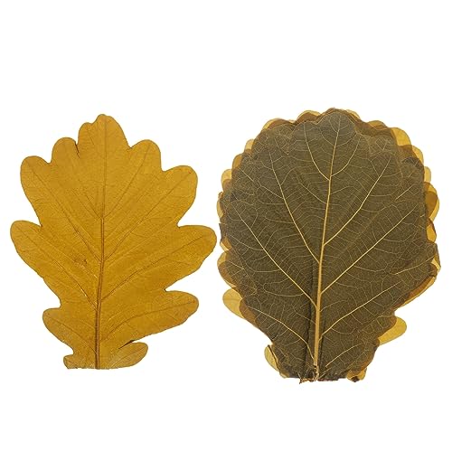 ABOOFAN 20pcs Japanese Sushi Leaves Decor Sashimi Plate Decor Unique Sushi Mat for Food Photography