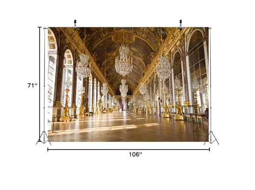 BELECO 9x6ft Fabric Royal Palace of Versailles Backdrop The Hall of Mirrors France Mirror Gallery Backdrop Luxury Chandelier Sculpture Ceiling Mural Birthday Wedding Photoshoot Portrait Photo Props - size: 9x6FT