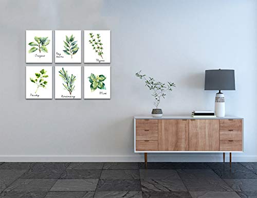 Yatsen Bridge Herbs Kitchen Wall Art Print Set of 6 Framed Prints Bay Leafes Thyme Mint Rosemary on Canvas Botanical Canvas Prints Wall Art for Home DéCor 8"x10" - color: Flower-01