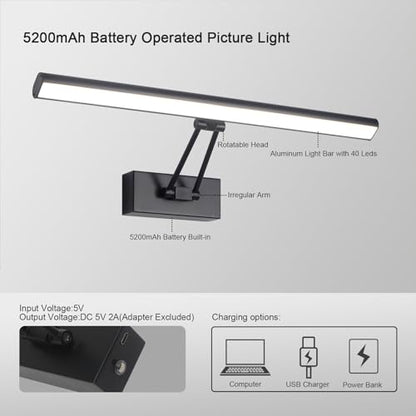 Picture Light, 13.5" Art Light, Black Picture Light Battery Operated,3CCT,Wireless Picture Lights with Remote, Light Over Picture Frame for Wall Painting(Black) - color: Matt Black, size: 13.5inches