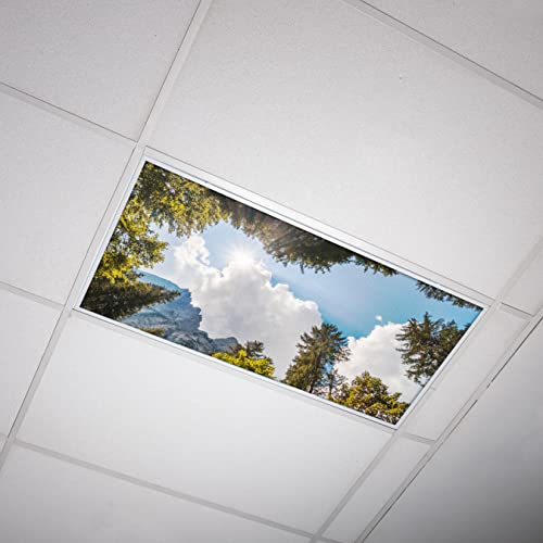 OCTO LIGHTS Fluorescent Light Decorative Covers for Classroom Ceiling Lights - 2x4 (22.38in X 46.5in) - Improves Focus, Eliminates Headaches, Provides Relief from Harsh Florescent Lights - Tree 009 - color: Tree Mountain Sky, size: 1pk