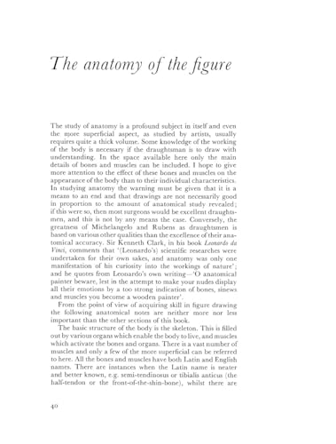 Anatomy and Perspective: The Fundamentals of Figure Drawing