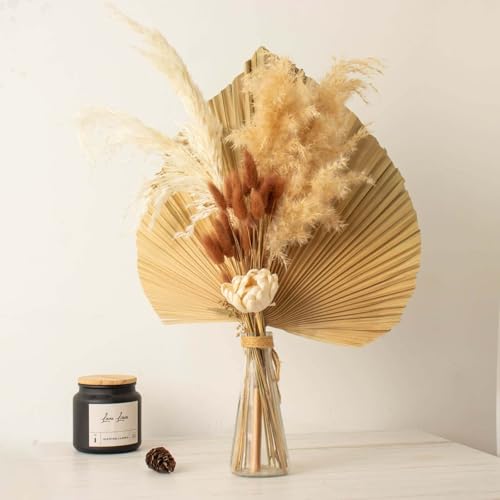Efavormart 50 Pack 15 inch Chocolate Brown Rabbit Tail Dried Pampas Grass, Earthy Bunny Tail Grass Stems for Rustic Farmhouse Decor and Fall Table Centerpieces - color: Brown, size: 15"