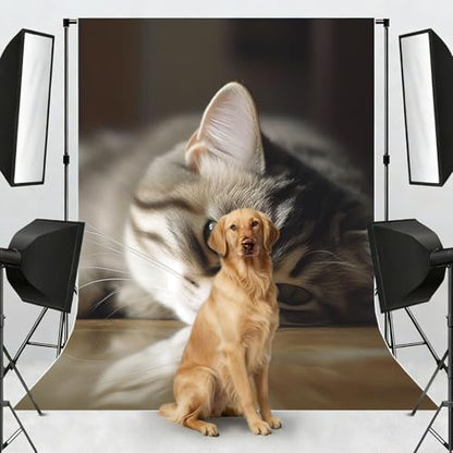 Sleeping Cat Backdrop Background for Photography 5x7ft Photobooth Professional Photo Backdrop Curtains Video Photography Studio Photo Backgrounds Banner Booth Background Screen Parties - color: Sleeping Cat