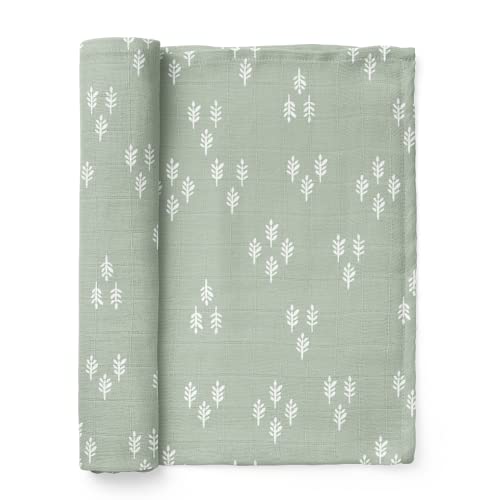 Mini Wander Swaddles for Newborns Muslin Swaddle Blankets - Breathable Soft Gender Neutral Receiving Blanket Baby Essentials | 47 x 47 Cotton - (Forest (Green Spruce) - color: Forest (Green Spruce)