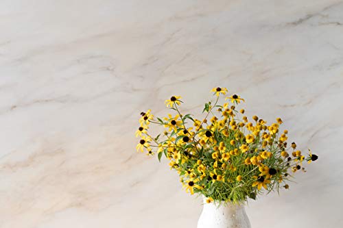 Bessie Bakes Light Beige Marble Replicated Photography Backdrop 2 Feet Wide x 3 Feet Long 3 mm Thick