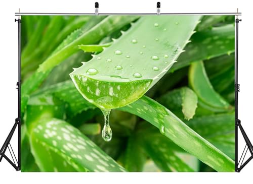 17x10ft Fabric Fresh Aloe Vera Leaf Gel Drop Backdrop Hydrating Plant Skincare Photography Background Wellness Wall Decor Party Decorations Tapestry Photo Shoot Studio Props - size: 17x10ft
