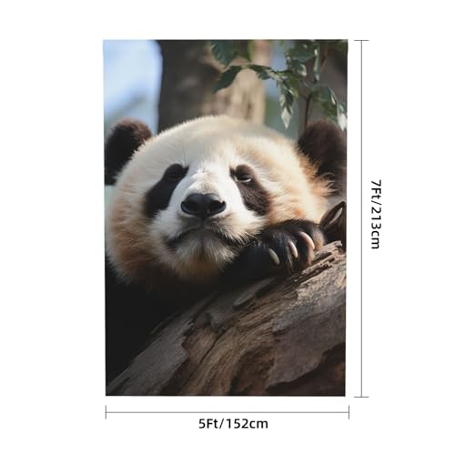 Cute Sleeping Panda Backdrop Background for Photography 5x7ft Photobooth Professional Photo Backdrop Curtains Video Photography Studio Photo Backgrounds Banner Booth Background Screen Parties - color: Cute Sleeping Panda
