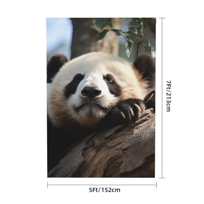 Cute Sleeping Panda Backdrop Background for Photography 5x7ft Photobooth Professional Photo Backdrop Curtains Video Photography Studio Photo Backgrounds Banner Booth Background Screen Parties - color: Cute Sleeping Panda