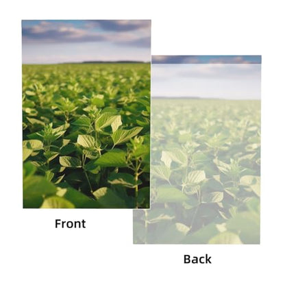 Soybean Field Backdrop Background for Photography 5x7ft Photobooth Professional Photo Backdrop Curtains Video Photography Studio Photo Backgrounds Banner Booth Background Screen Parties - color: Soybean Field