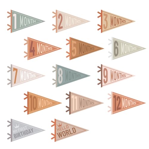VitalCozy 14 Pcs Baby Milestone Pennant Signs Monthly Milestone Banner Flags Pennant Triangle Banner Age Flag Signs for Boy Girl Newborn Birthday Party Decor(Assorted Colors) - color: Assorted Colors