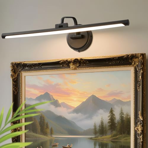 Hardwired Picture Light for Wall, 24 Inch Modern Black Dimmable Frame Light with Adjustable Swing Arm, 3CCT LED Art Display Light for Paintings,120 Volts Gallery Wall Light, Hallway Vanity Light, 8W - color: Black, size: 24" Long Dimmable