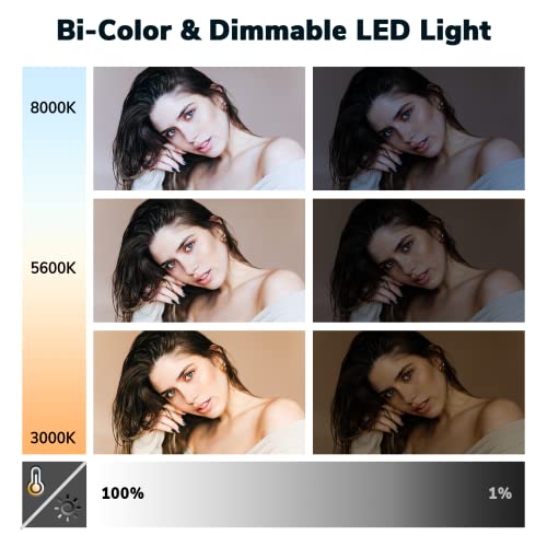 D50 Photography Lighting with Barn Door, 2-Pack 15.4" LED Video Light with Remote, 45W 3000K-8000K Dimmable Bi-Color Panel Light for Live Streaming/Wedding Shooting/Video Recording/Studio/Film - size: D50
