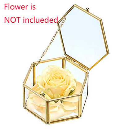 Hipiwe Preserved Flower Glass Box, Hexagon Glass Jewelry Decorative Bin, Ornate Trinket Display Organizer Case Keepsake Box Gift for Women